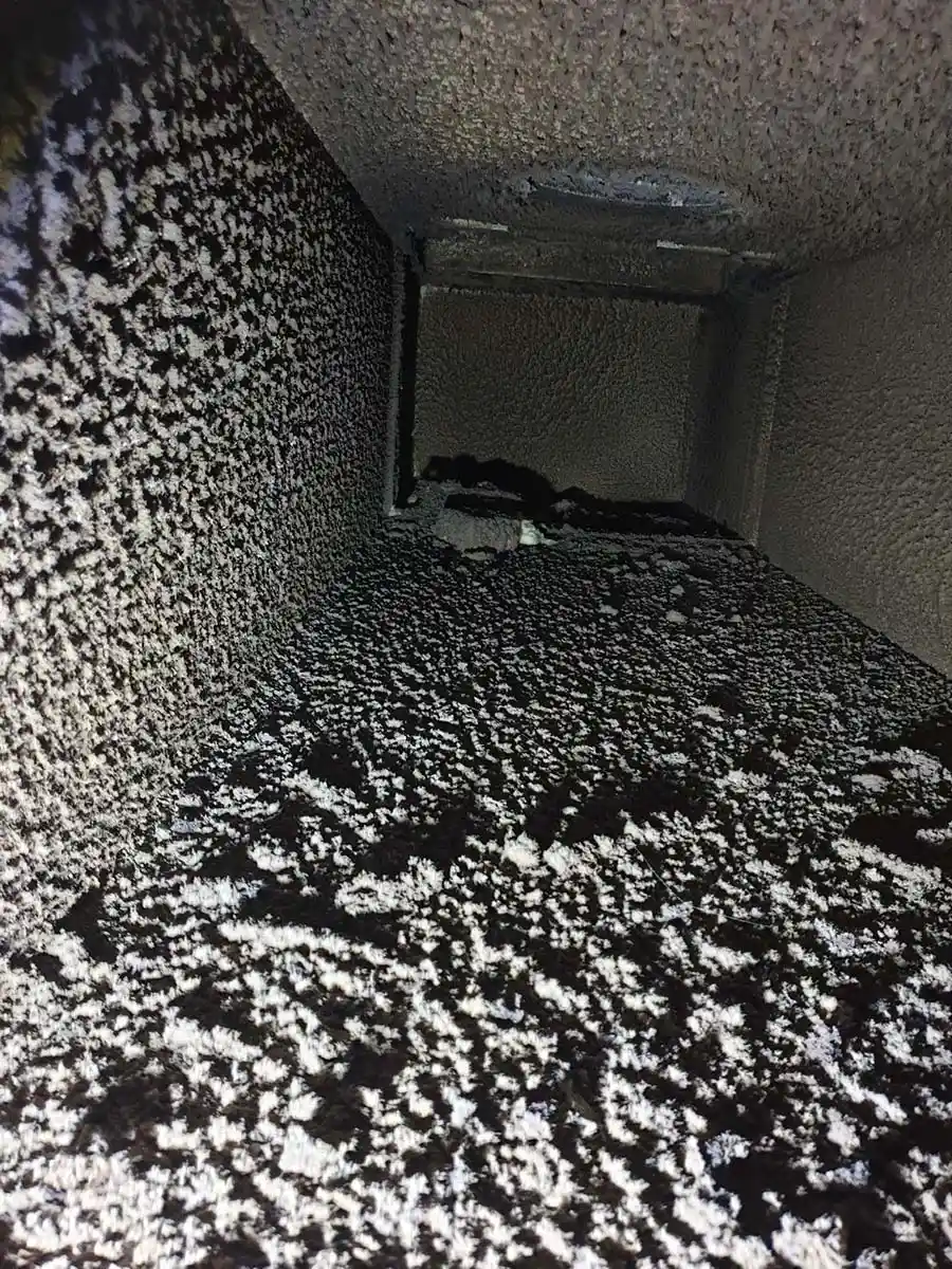 Limpando seus dutos de gordura